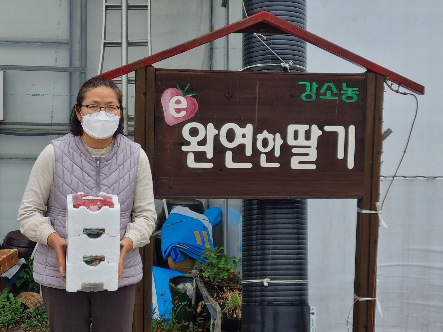 봉동완연한딸기.jpg