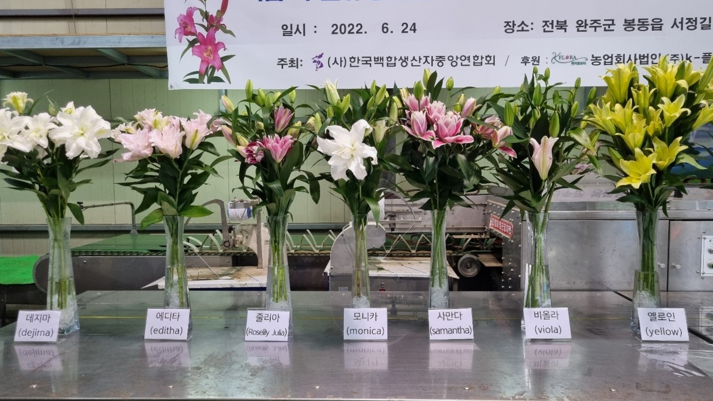 백합꽃사진.jpg