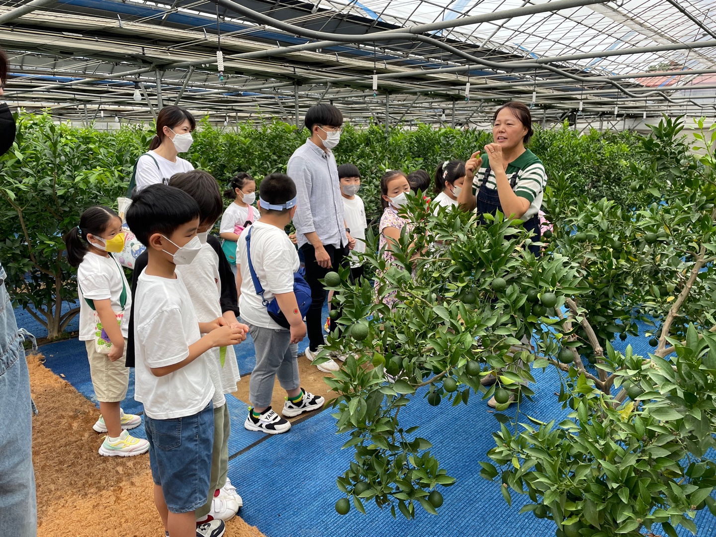 어린이식농교육1.jpg