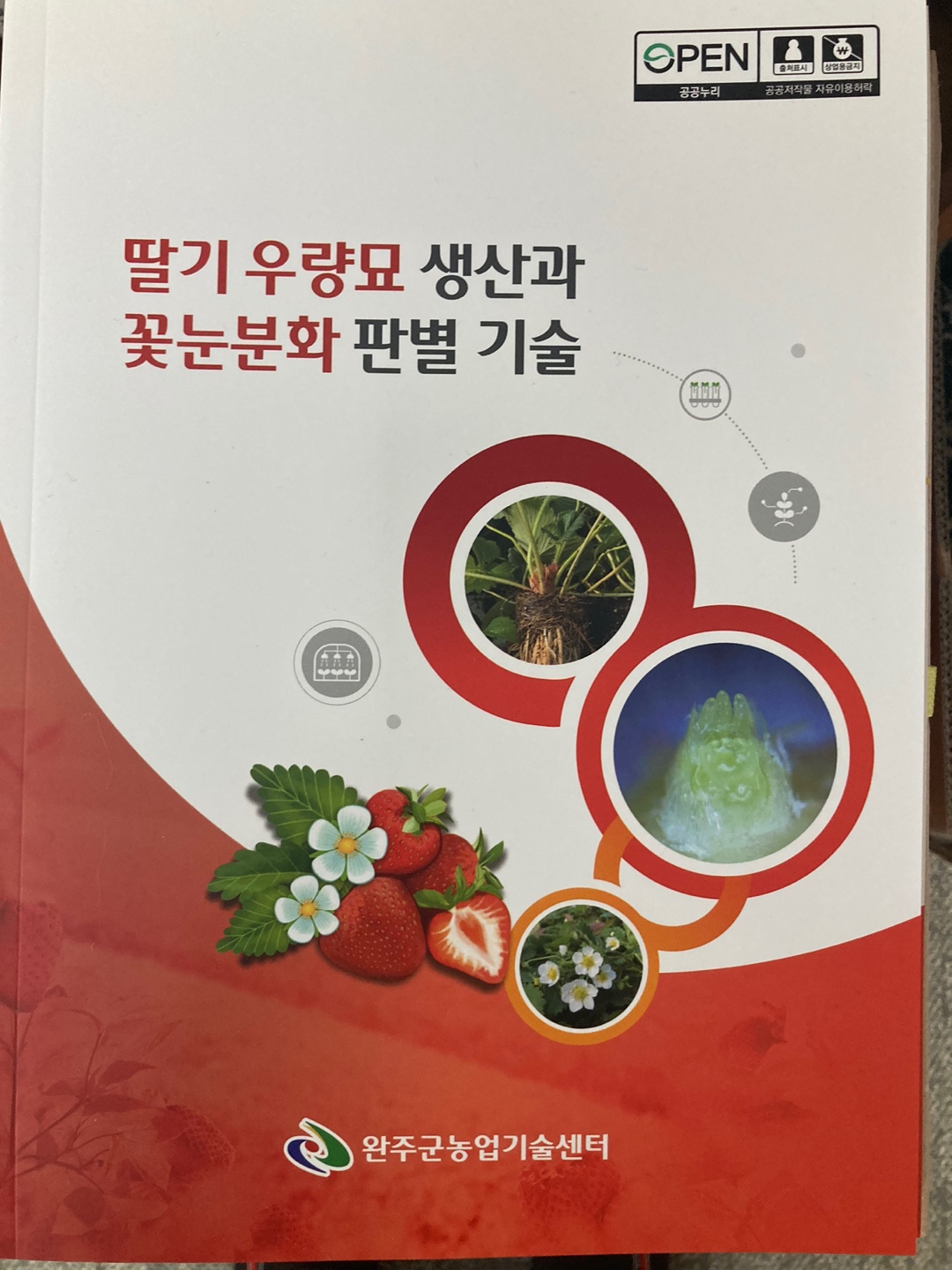 딸기책자.jpg