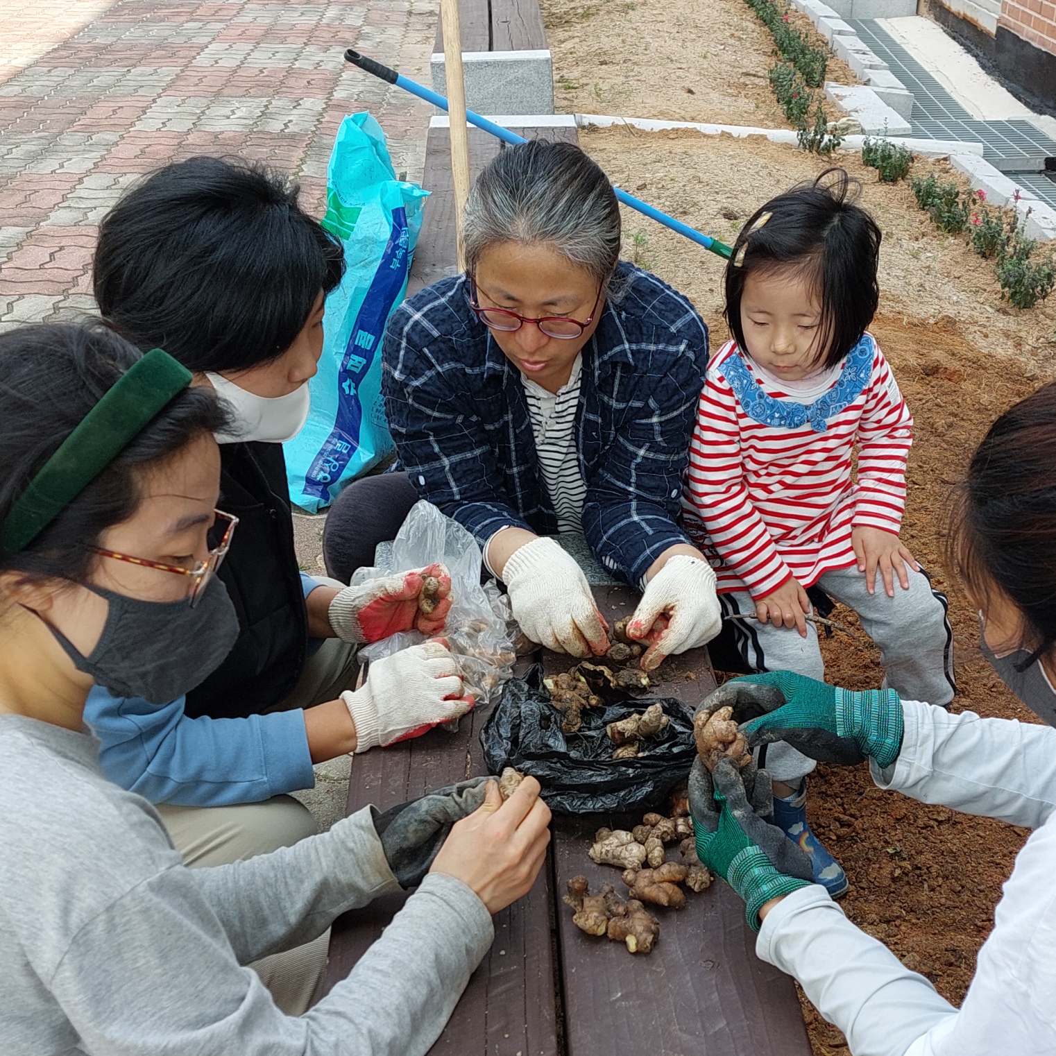 토종씨앗이랑놀아요(보도자료사진2).jpg