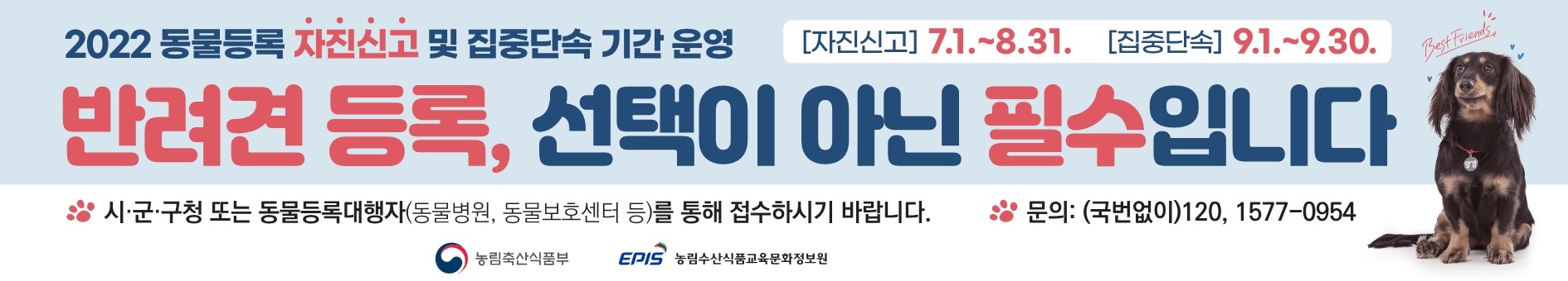 동물등록자진신고및집중단속홍보.jpg