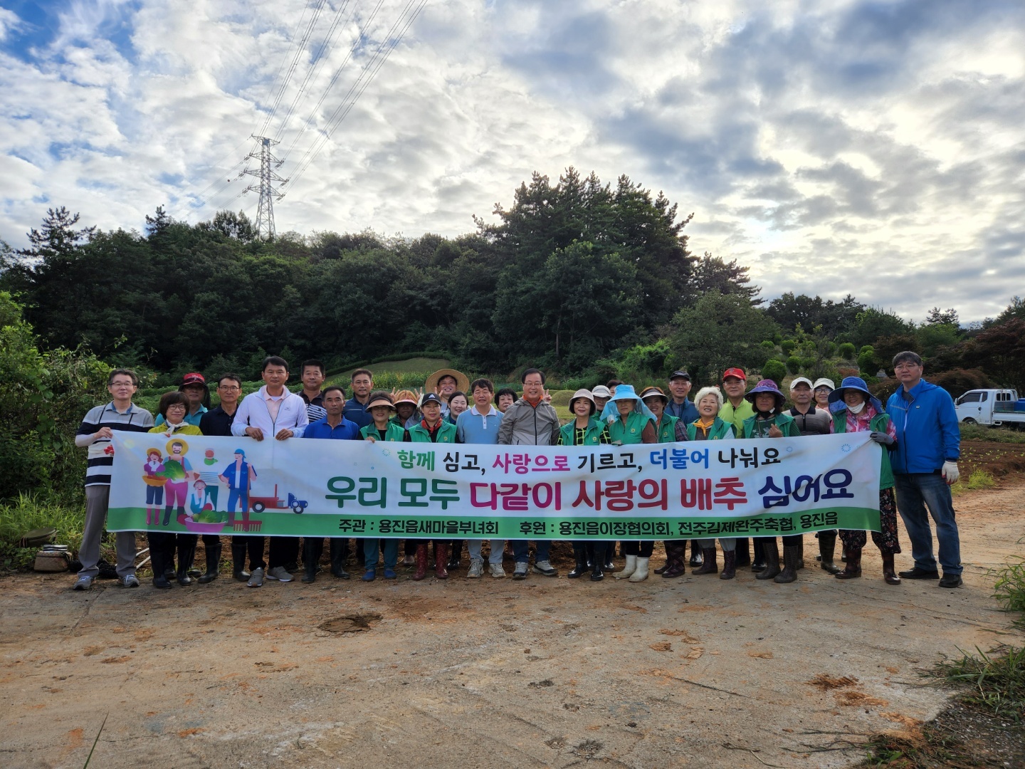 용진김장배추심기.jpg