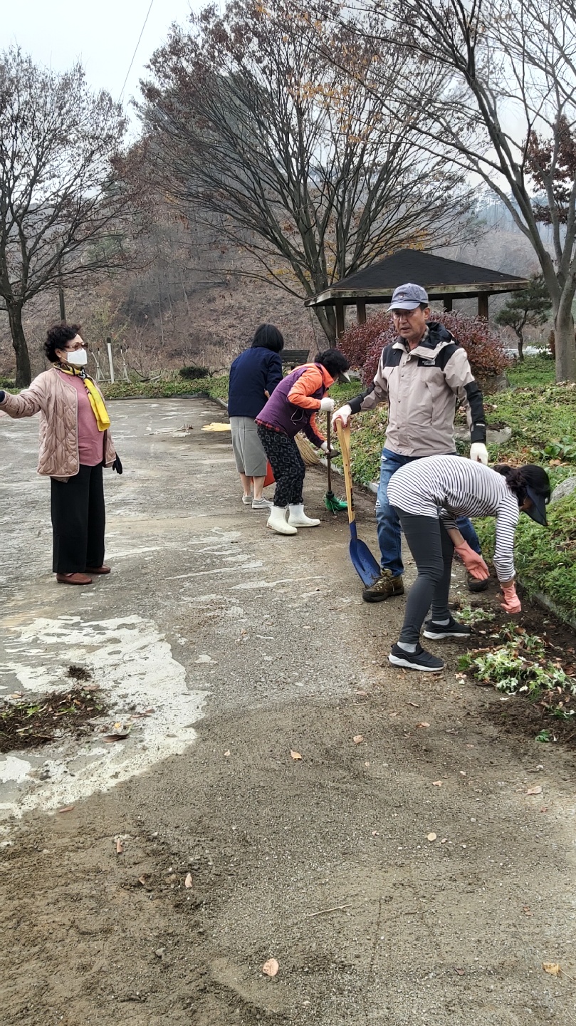 비봉환경정화(3).jpg