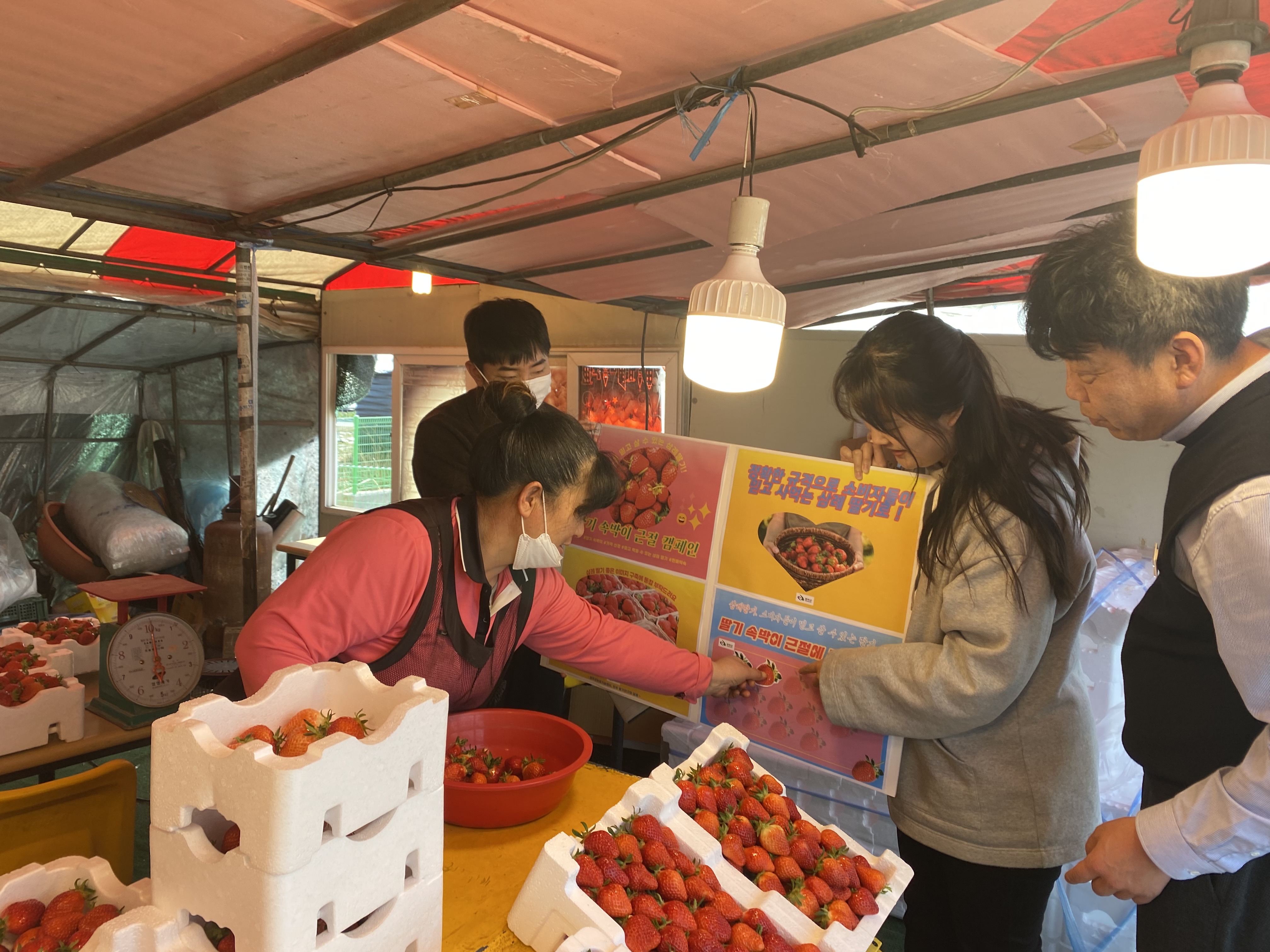 딸기축제브랜드이미지제고.jpg