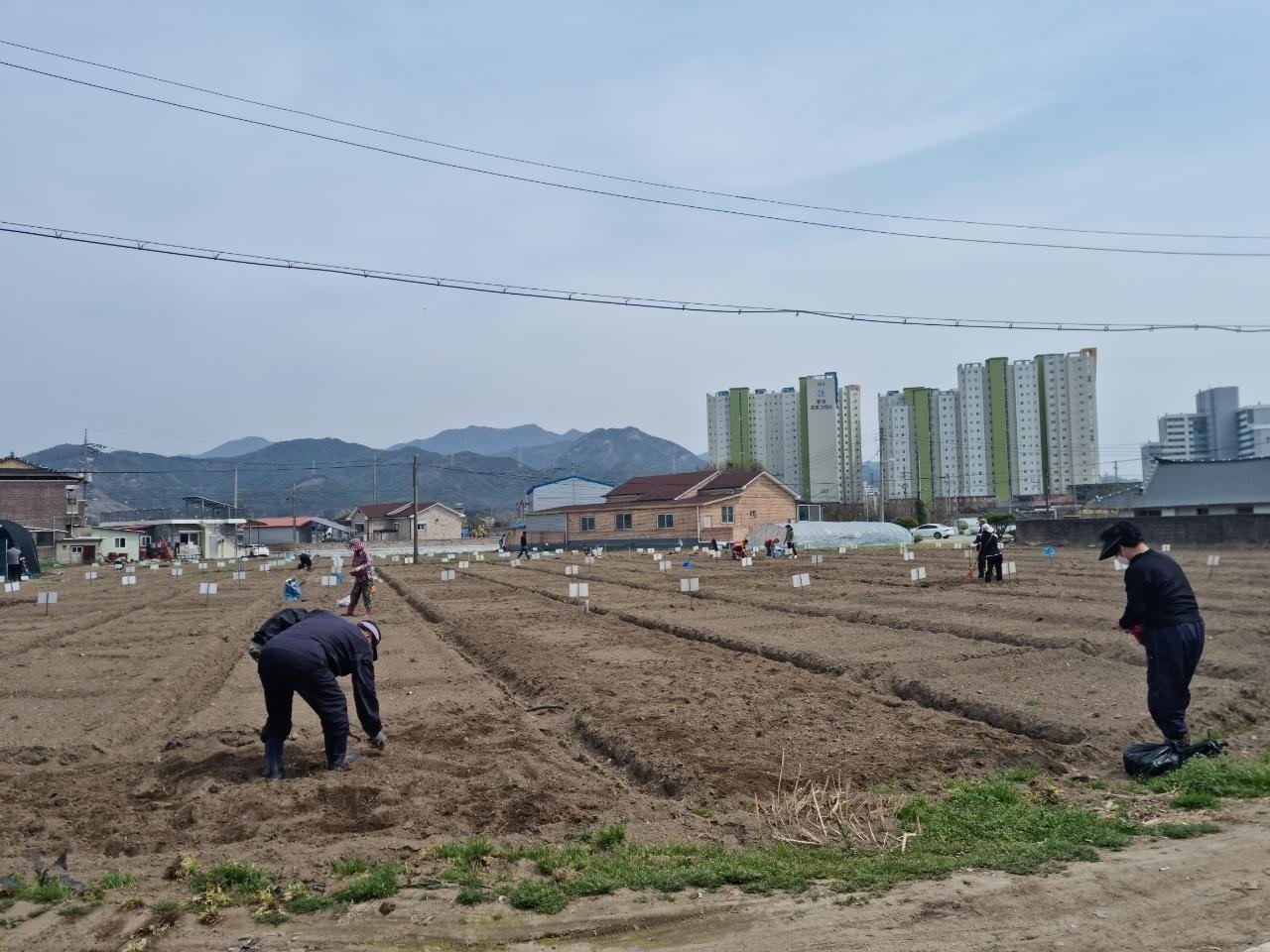 마을시민텃밭3개소개장(2).jpg