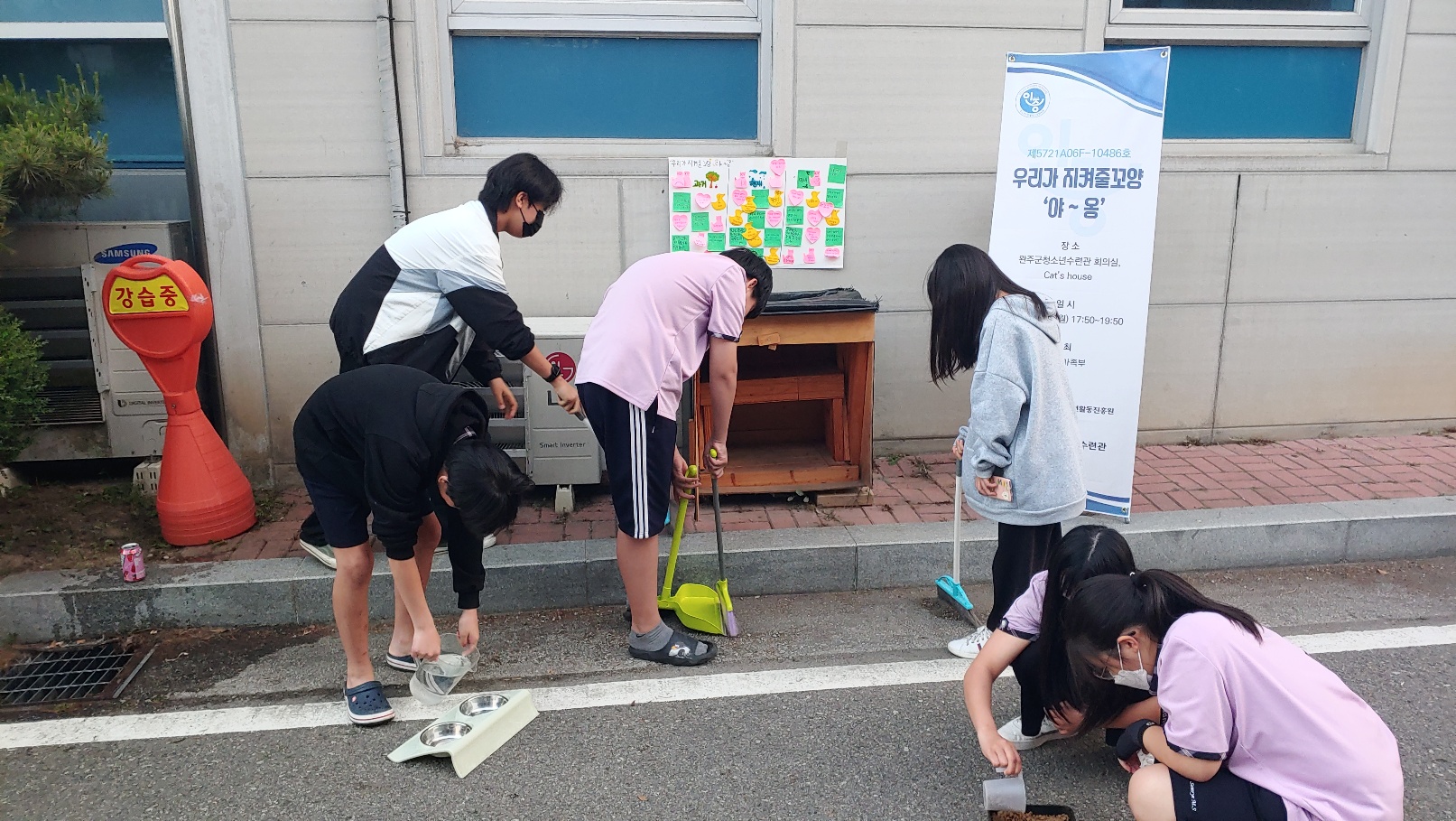 청소년수련관동네고양이돌봄활동.jpg