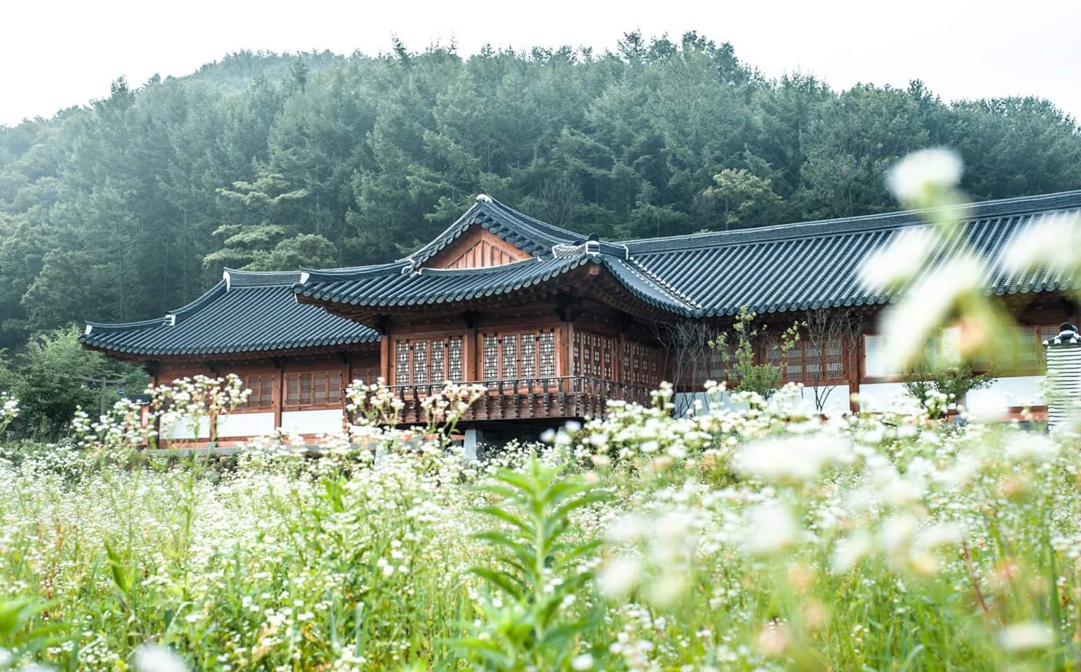 대승한지마을한옥브랜드화지원선정.jpg