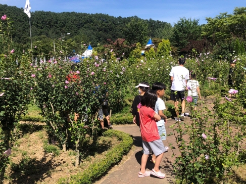 나라꽃무궁화축제준비만전(2).jpg