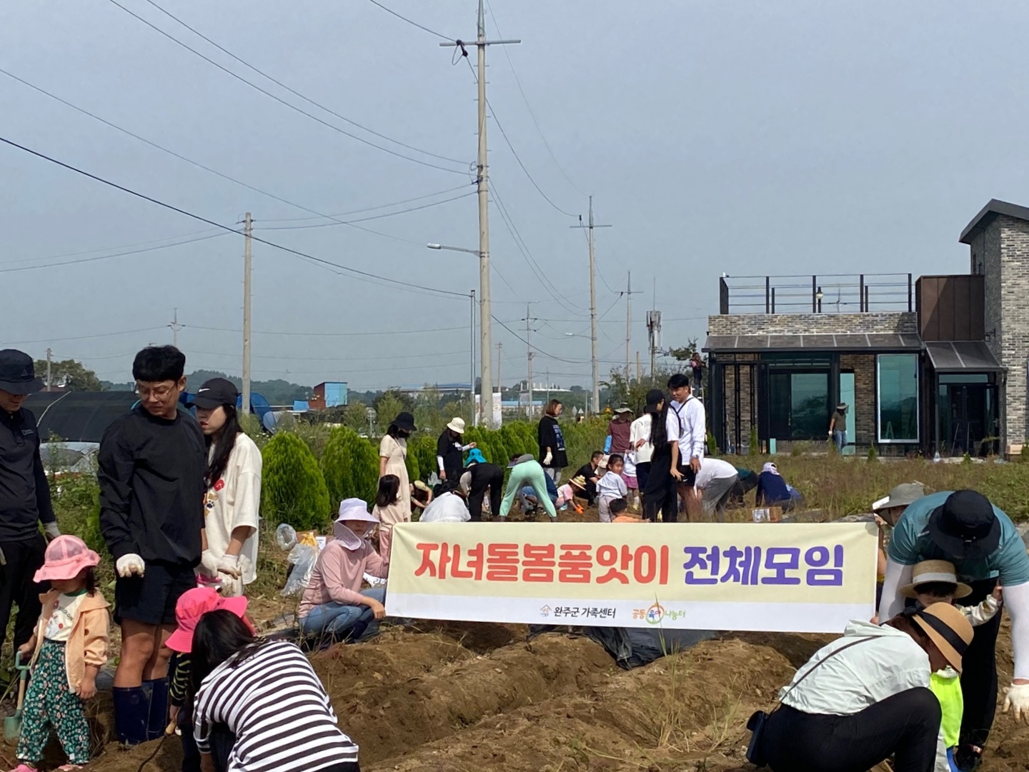 공동육아나눔터고구마수확.jpg