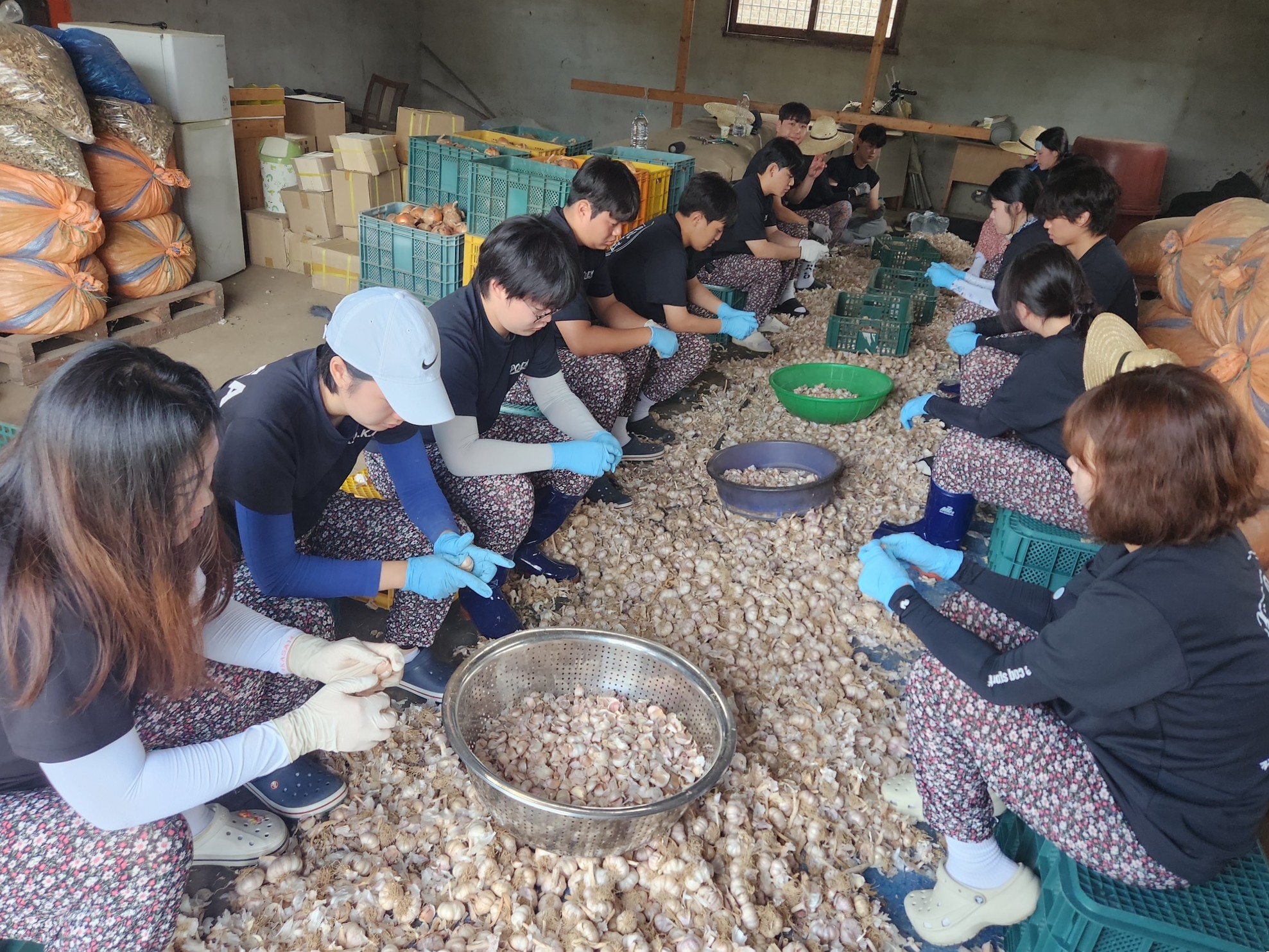 경천면_대학생농촌봉사활동 (1).JPG