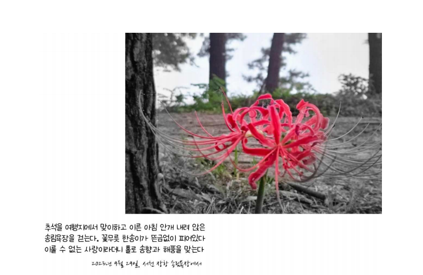포토에세이수강생모집 (1).png