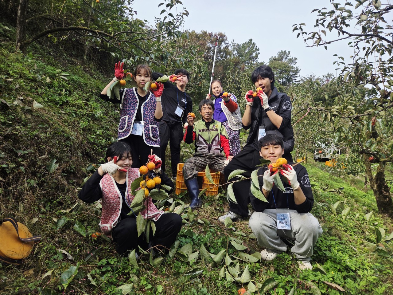 동상면_군산대곶감농가일손돕기 (3).jpg