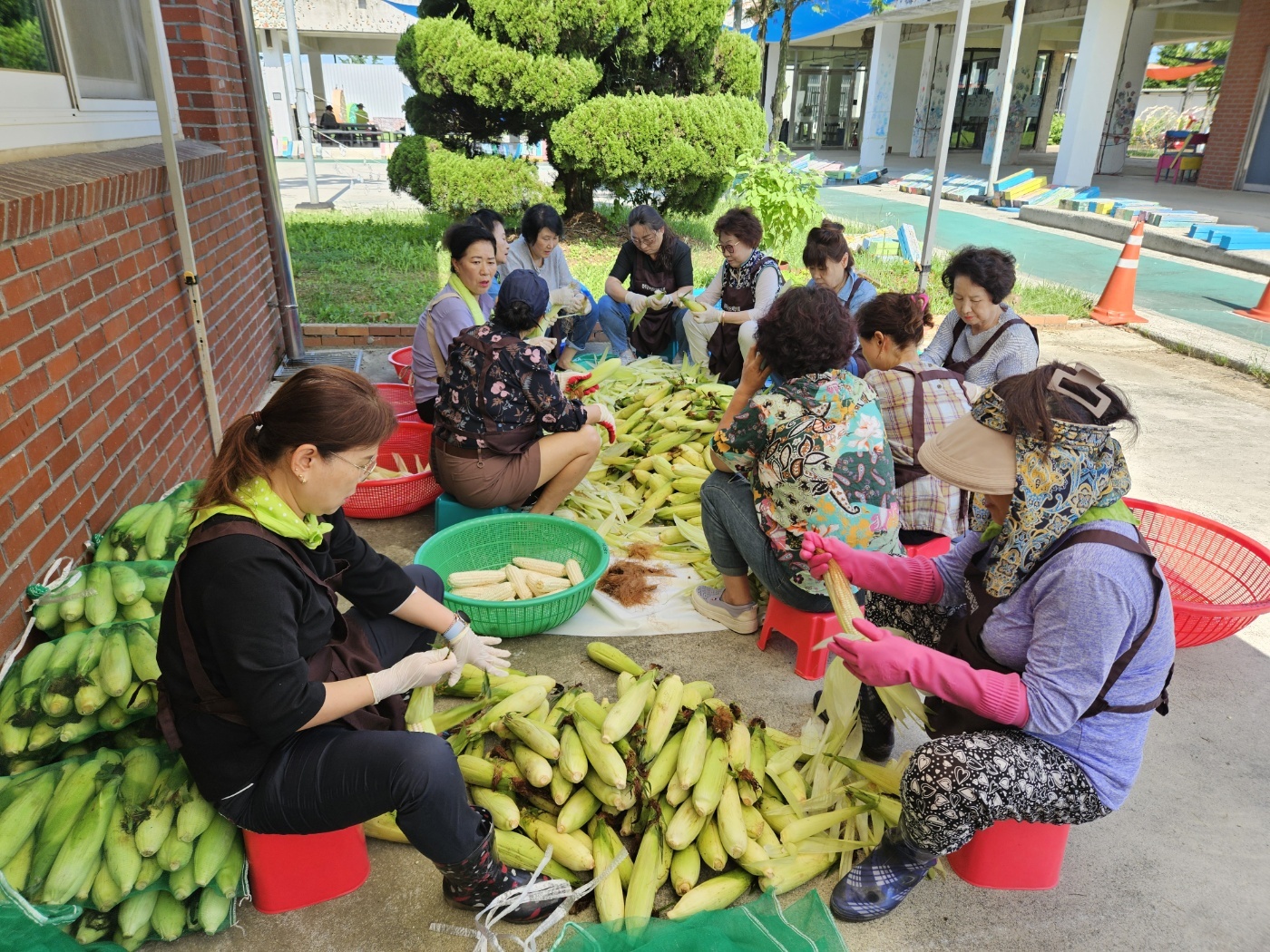 여성단체초복맞이옥수수나눔 (2).jpg