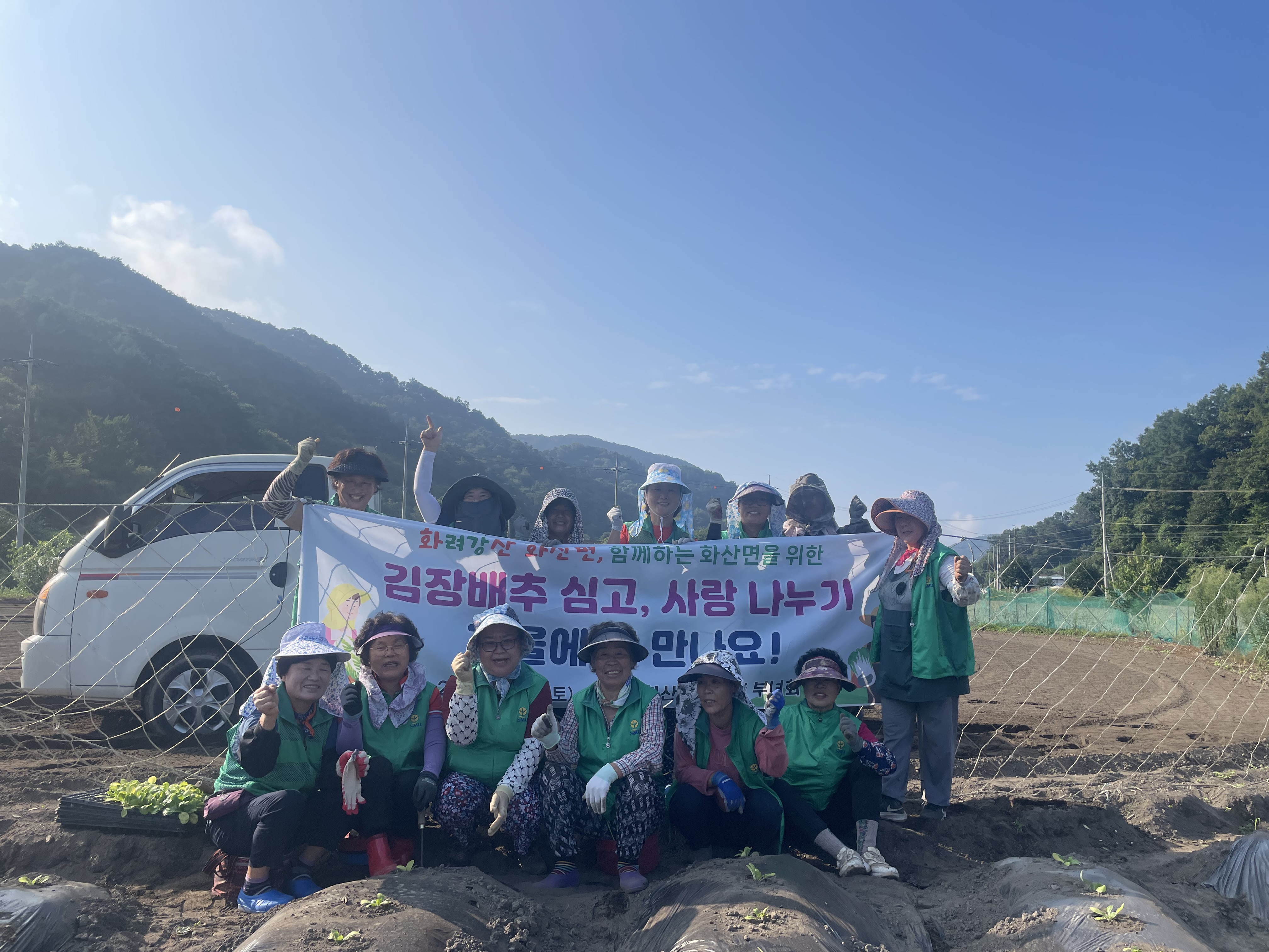 화산면_새마을부녀회김장배추모종심기 (2).jpeg