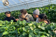 완주군, 외국인 계절근로자 현장 지원 총력