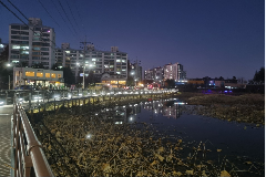 완주군, 이서 빙등제 산책로 정비 완료 “안전 강화”