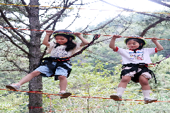 완주와일드&로컬푸드축제 재미‧안전 호평