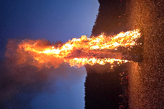 완주 비봉면, 달집태우며 소원 성취 염원