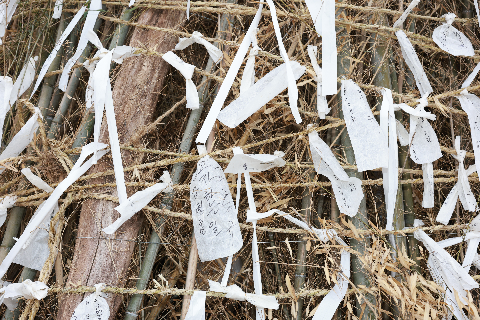 상관면 달짚태우기 (36).JPG