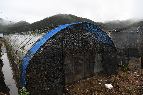운주 수해현장 (51).JPG