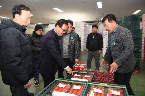 완주 셀레늄딸기 이마트 출하 기념식 (31).JPG