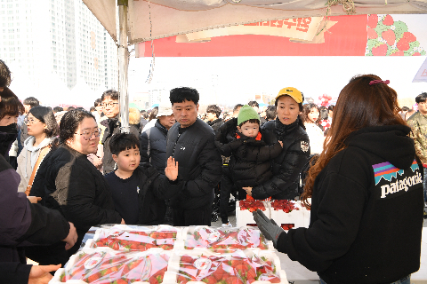 삼례딸기축제 (50).JPG