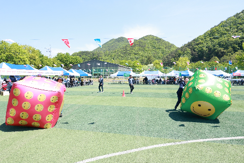 운주면민의 날 행사 (113).JPG