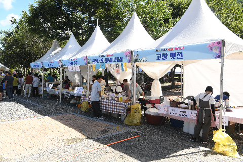 나라꽃 무궁화 축제 (21).JPG