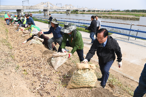 삼례읍 상사화심기 (37).JPG