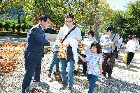 감자삼굿 (28).JPG