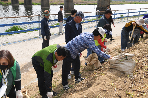 삼례읍 상사화심기 (46).JPG