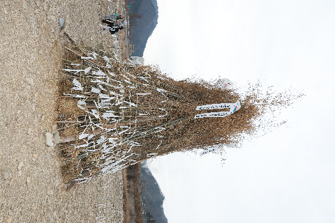 상관면 달짚태우기 (17).JPG