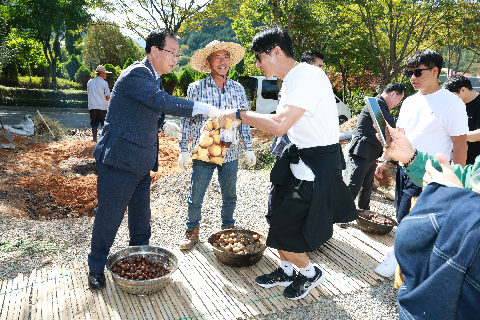 감자삼굿 (22).JPG