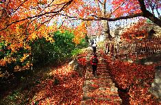 모악산도립공원(3).JPG
