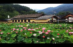송광사(1).jpg
