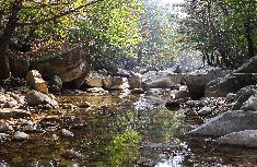 동상운장산계곡.JPG