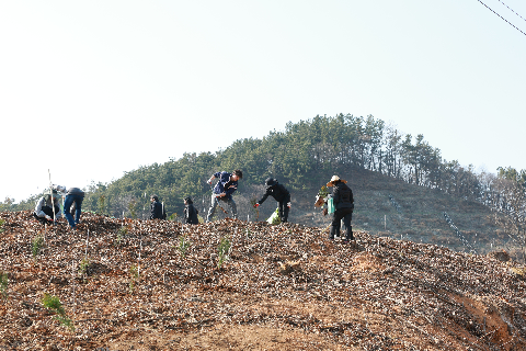 식목일기념 나무심기 행사 (57).JPG