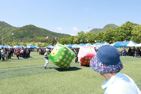 운주면민의 날 행사 (127).JPG