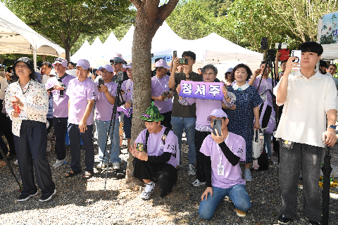 나라꽃 무궁화 축제 (78).JPG