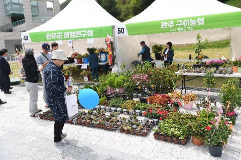 웰니스 축제 (2).JPG