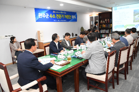 수소 전문가 자문단 회의 (10).JPG