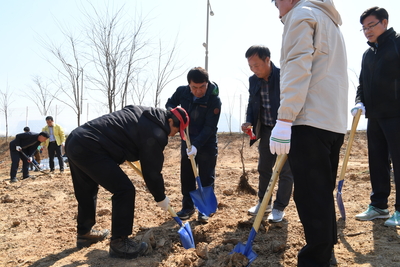 제74회식목일나무심기행사(25).JPG