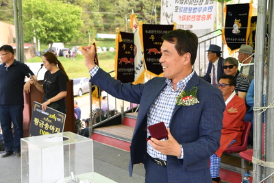 소싸움대회(43).JPG