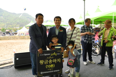 소싸움대회(50).JPG