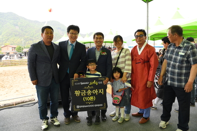 소싸움대회(51).JPG