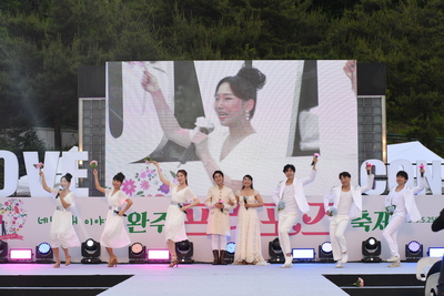 완주프러포즈축제개막식(41).JPG