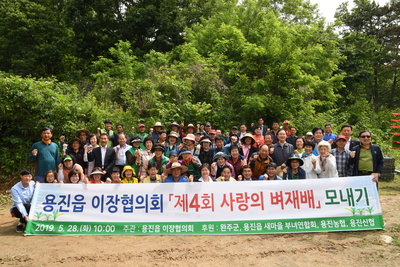 용진읍이장협의회사랑의벼재배모내기(14).JPG
