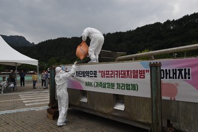 아프리카돼지열병가상방역훈련(84).JPG