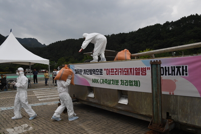 아프리카돼지열병가상방역훈련(85).JPG